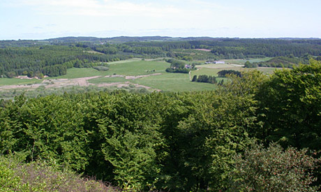 Fra foreningens ekskursion til Silkeborg